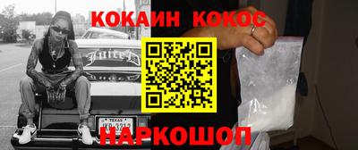 шишки Дубна
