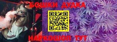 шишки Дубна