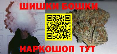 шишки Дубна