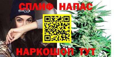 винт Донецк