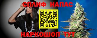 винт Донецк
